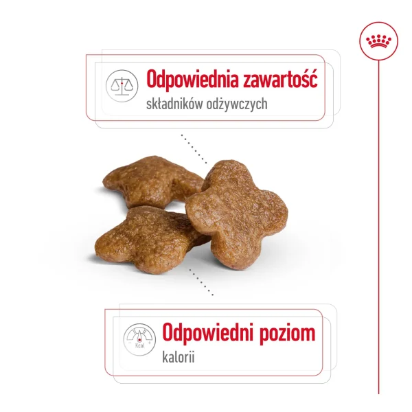 Karma sucha Royal Canin Mini Adult +8 dla psów małych ras powyżej 8 lat 8 kg — widok 4