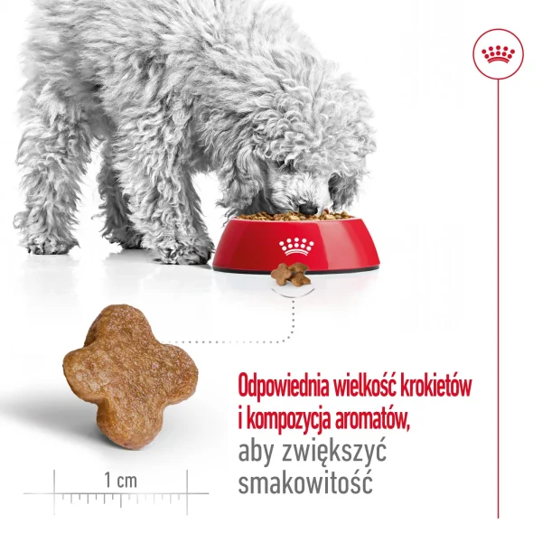 Karma sucha Royal Canin Mini Adult +8 dla psów małych ras powyżej 8 lat 8 kg — widok 5