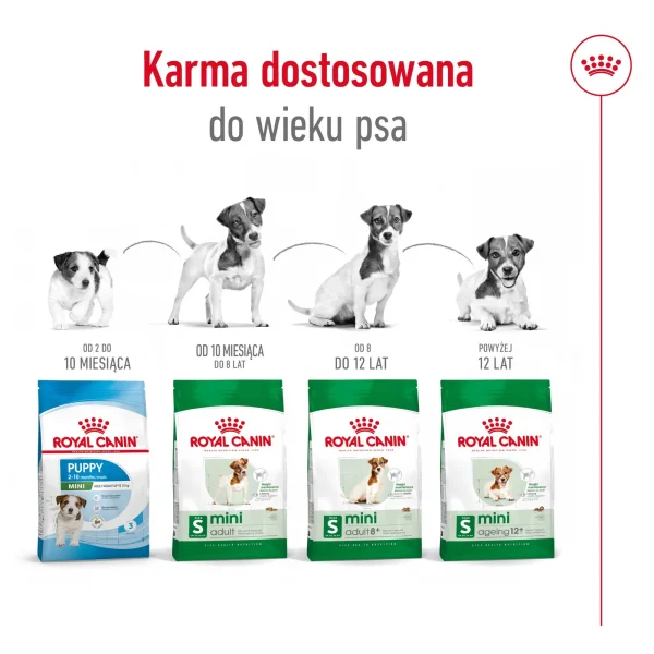 Karma sucha Royal Canin Mini Adult +8 dla psów małych ras powyżej 8 lat 8 kg — widok 6
