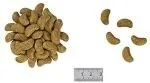 Karma sucha Royal Canin Renal Select Canine dla dorosłych psów 10 kg — widok 3