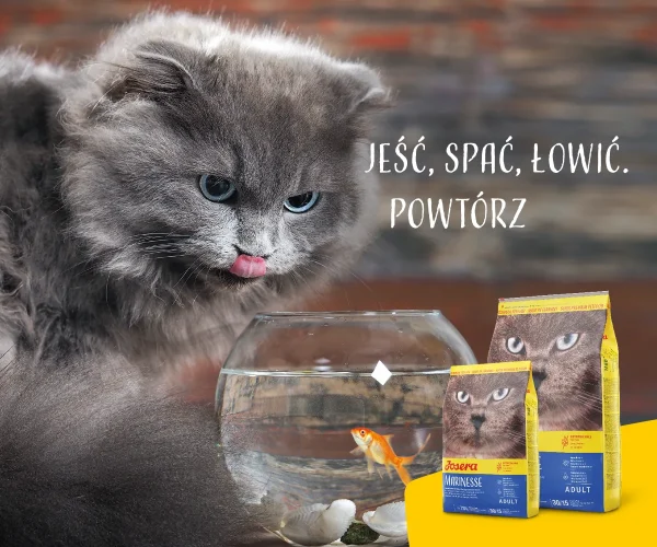 Karma sucha Josera Marinesse dla dorosłych kotów Łosoś 400 g — widok 9