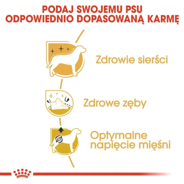 Karma sucha Royal Canin Poodle Adult dla dorosłych pudli 1,5 kg — widok 6