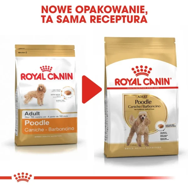 Karma sucha Royal Canin Poodle Adult dla dorosłych pudli 1,5 kg — widok 9