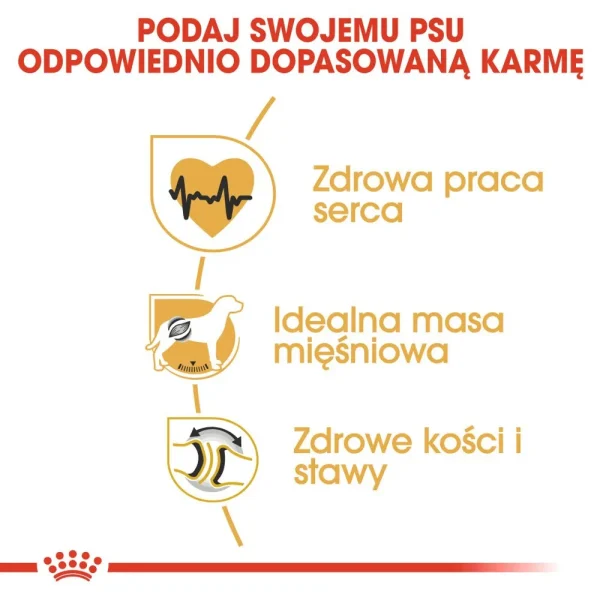 Karma sucha Royal Canin Rottweiler Adult dla dorosłych psów ras dużych i olbrzymich 12 kg — widok 4