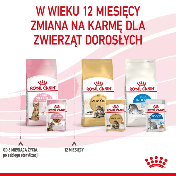 Karma mokra Royal Canin Kitten Sterilised Sauce 12x85 g — widok 11