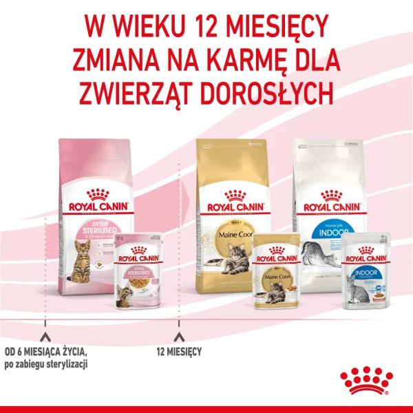 Karma mokra Royal Canin Kitten Sterilised Gelee dla sterylizowanych kociąt 6-12 miesięcy — widok 10