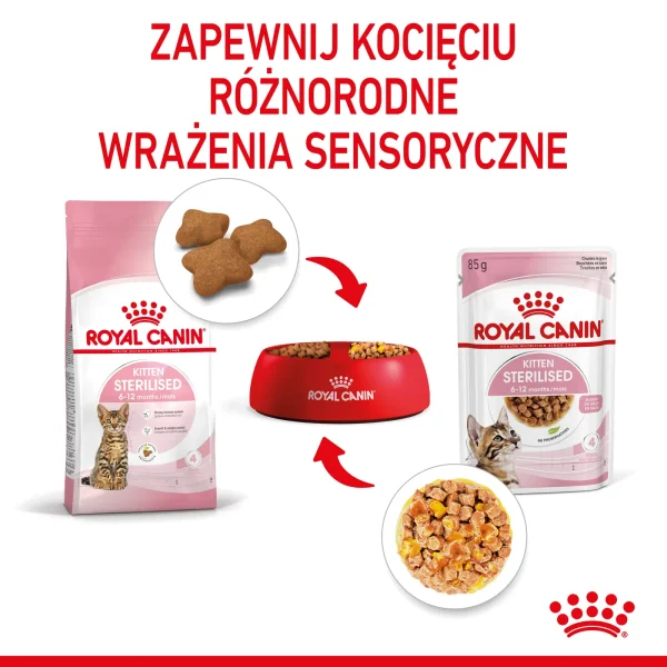 Karma mokra Royal Canin Kitten Sterilised Gelee dla sterylizowanych kociąt 6-12 miesięcy — widok 7