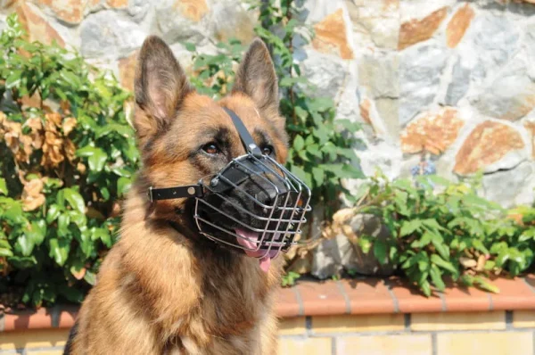 Akcesorium Dingo Kaganiec Metalowy Dla Psa Rozmiar 9 — widok 4