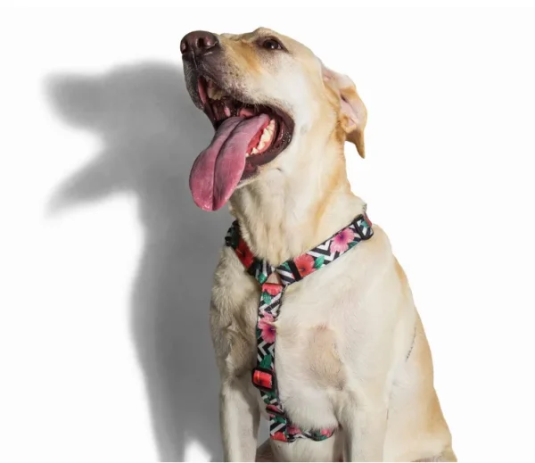 Szelki ZEE DOG Mahalo dla psa XS — widok 2