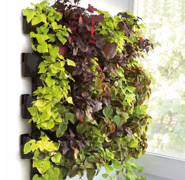 AQUAEL Versa Garden – modułowy ogród wertykalny — widok 2