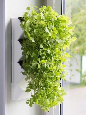 AQUAEL Versa Garden Herbs – domowy zielnik na ścianę, biały