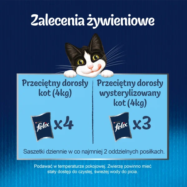 Karma mokra Felix Rybne Smaki W Galaretce z łososiem i gładzicą 4x85 g — widok 7