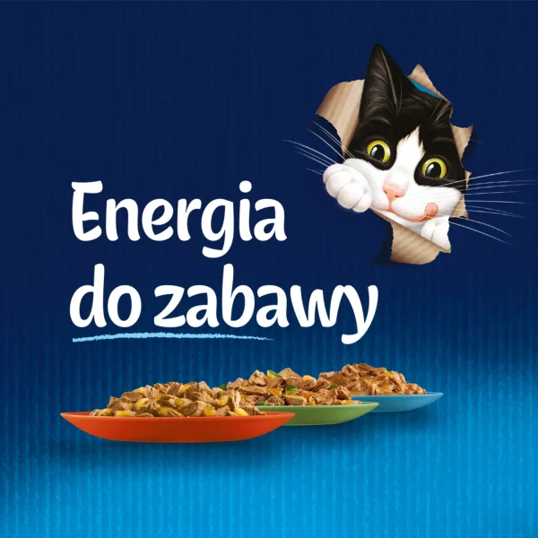 Karma mokra Felix Rybne Smaki W Galaretce z łososiem i gładzicą 4x85 g — widok 9