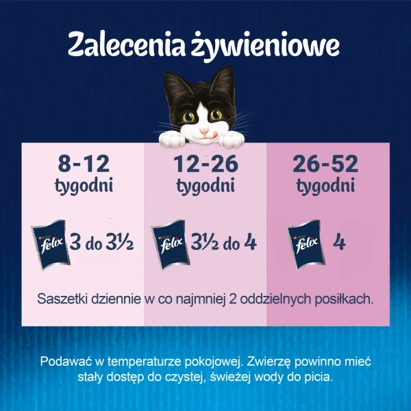 Karma sucha Felix Fantastic Junior W Galaretce Z Kurczakiem I Łososiem 4x85 g — widok 8