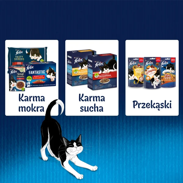 Karma sucha Felix Fantastic Junior W Galaretce Z Kurczakiem I Łososiem 4x85 g — widok 9