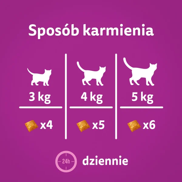 Przysmak Whiskas Zdrowy Blask dla kota z kurczakiem 45 g — widok 8