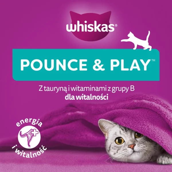 Przysmak Whiskas Energia i Witalność dla dorosłych kotów z kurczakiem 45 g — widok 4