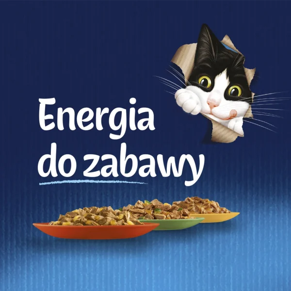 Karma mokra Felix Fantastic Mix Smaków w Galaretce dla dorosłych kotów 44x85 g — widok 10