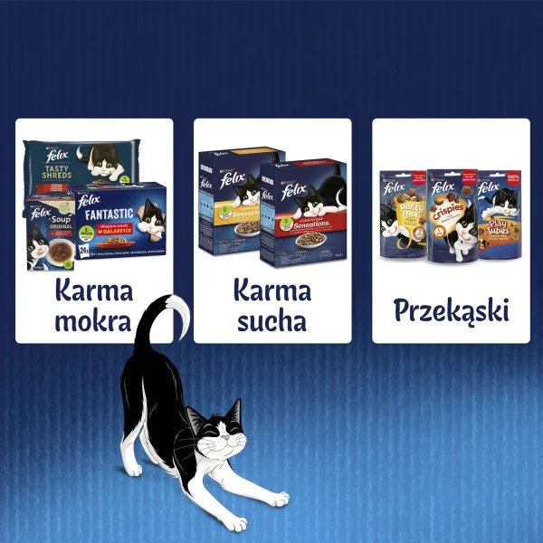 Karma mokra Felix Fantastic Mix Smaków w Galaretce dla dorosłych kotów 44x85 g — widok 12