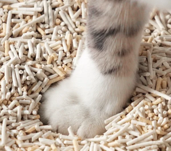 Żwirek zbrylający Cat Sand Tofu dla kota 2,5 kg — widok 2
