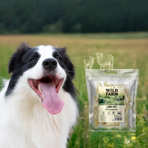 Przysmak Wild Farm Racice Jagnięce dla psa 300 g — widok 5