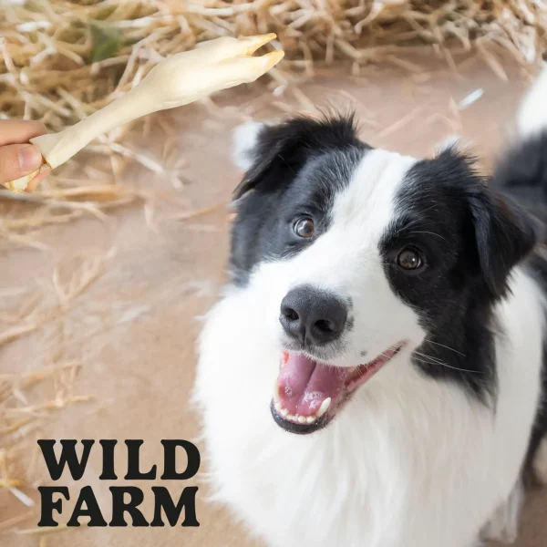 Przysmak Wild Farm Racice Jagnięce dla psa 300 g — widok 7