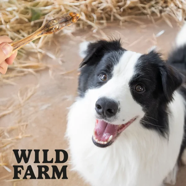 Przysmak Wild Farm Racice Jagnięce dla psa 300 g — widok 6