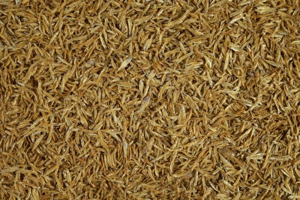 Karma uzupełniająca Tetra Anchovies dla żółwi wodnych 1 l — widok 3