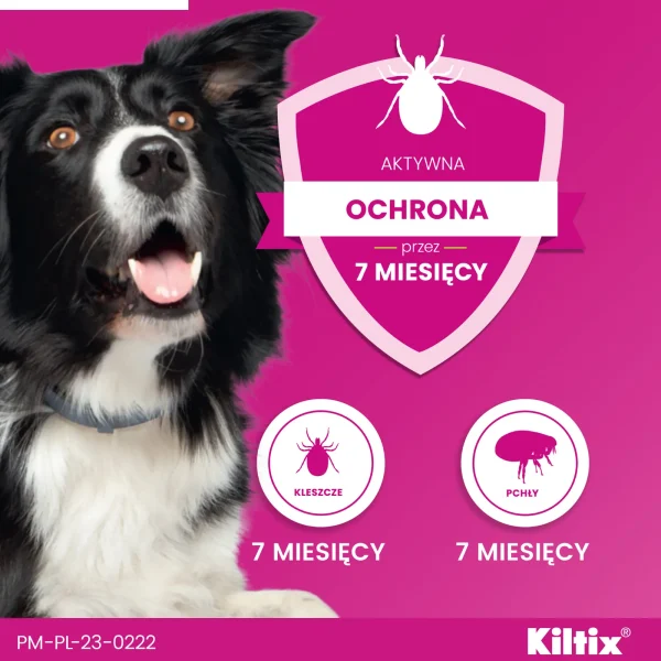 Obroża Bayer Kiltix na kleszcze i pchły — widok 5