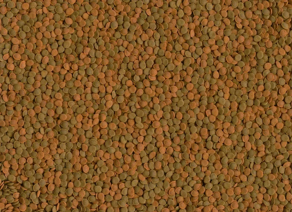 Pokarm Tetra Wafer Mini Mix dla ryb dennych 100 ml — widok 3