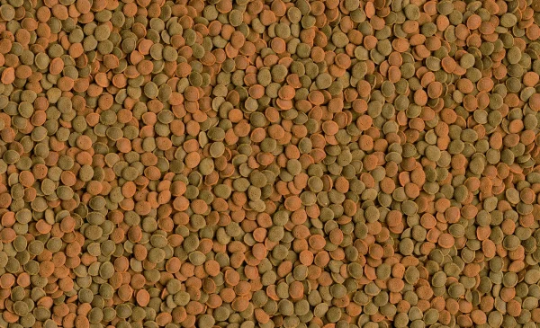Pokarm Tetra Wafer Mix dla ryb dennych i skorupiaków 1000 ml — widok 3