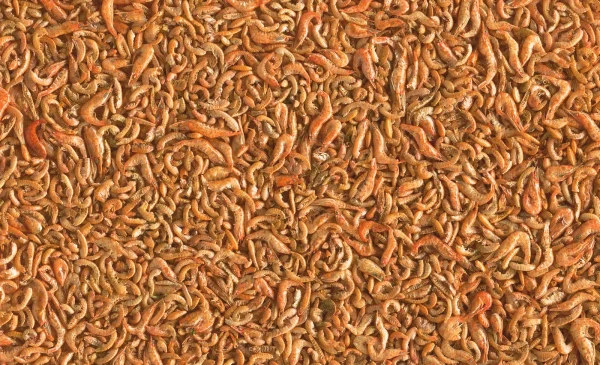 Pokarm Tetra Pond Shrimp Mix dla ryb stawowych 1 l — widok 3