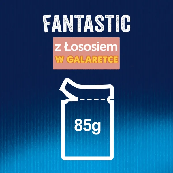 Karma mokra Felix Fantastic Łosoś w galaretce dla dorosłych kotów 85 g — widok 4