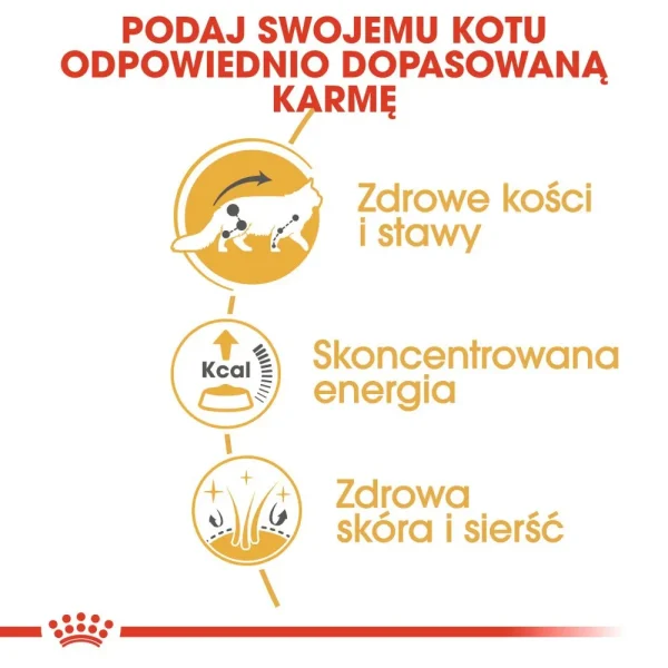 Karma mokra Royal Canin Maine Coon Adult 12x85 g — widok 4