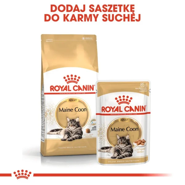 Karma mokra Royal Canin Maine Coon Adult 12x85 g — widok 7