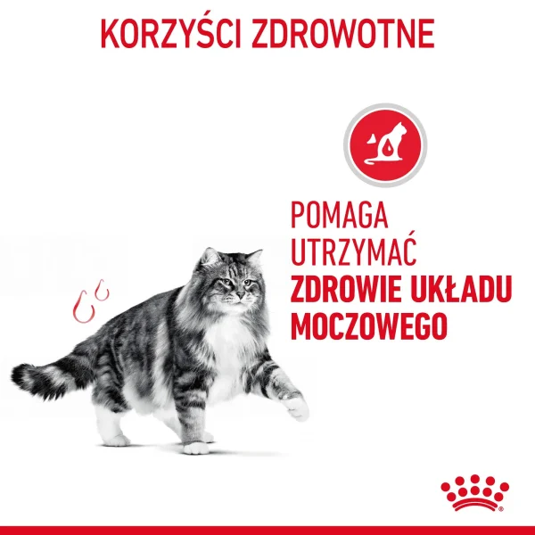 Karma mokra Royal Canin Urinary Care dla kotów powyżej 1 roku życia 12x85 g — widok 3