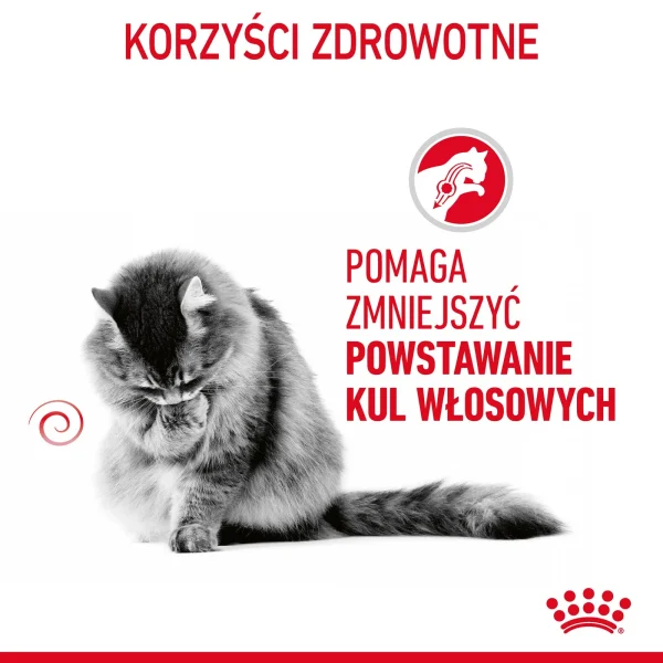 Karma mokra Royal Canin Hairball Care dla kota 85 g — widok 5