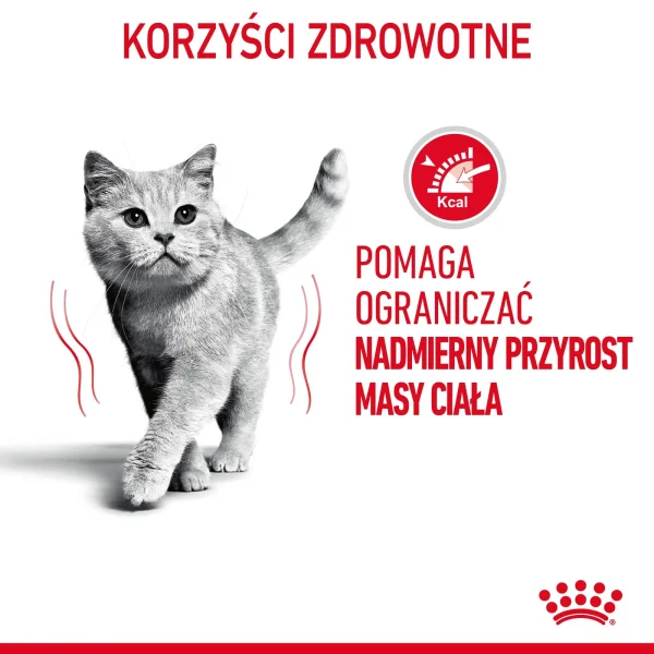 Karma mokra Royal Canin Light Weight Care dla kotów powyżej 12. roku życia w galaretce — widok 2