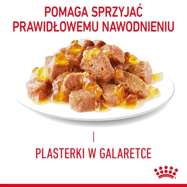 Karma mokra Royal Canin Light Weight Care dla kotów powyżej 12. roku życia w galaretce — widok 4