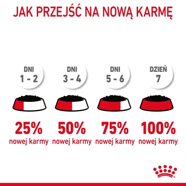 Karma mokra Royal Canin Intense Beauty Gelee dla kota powyżej 12 miesiąca 1020 g — widok 12
