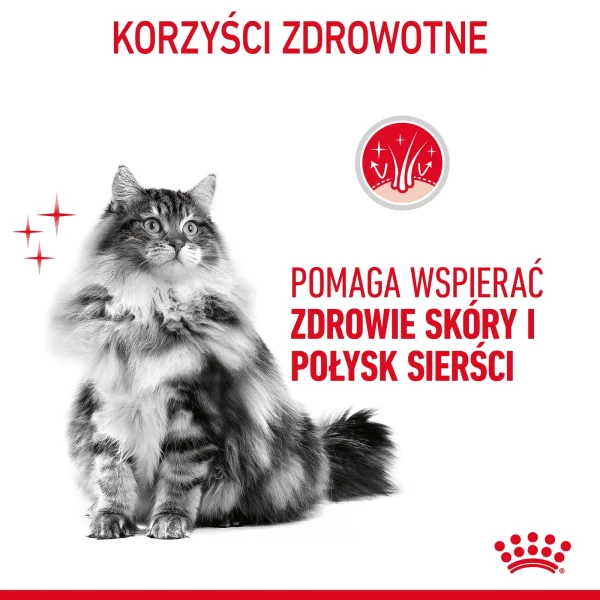 Karma mokra Royal Canin Intense Beauty Gelee dla kota powyżej 12 miesiąca 1020 g — widok 7