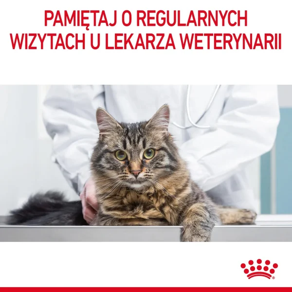 Karma mokra Royal Canin Intense Beauty Gravy dla kota powyżej 1 roku życia 12x85 g — widok 3