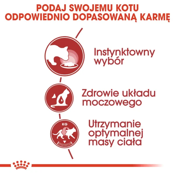 Karma mokra Royal Canin Instinctive Gravy dla kota 12x85 g — widok 6