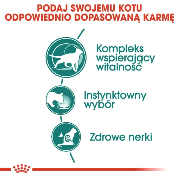 Karma mokra Royal Canin Instinctive +7 dla kotów 7-12 lat 12x85 g — widok 4