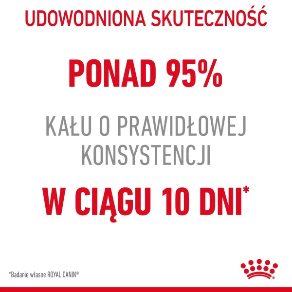 Karma mokra Royal Canin Digest Sensitive dla kota powyżej 1. roku życia 12x85 g — widok 4