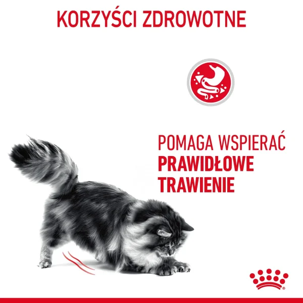 Karma mokra Royal Canin Digest Sensitive dla kota powyżej 1. roku życia 12x85 g — widok 6