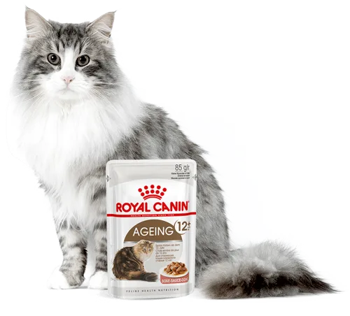 Karma mokra Royal Canin Ageing +12 Sauce dla kotów powyżej 12. roku życia 12x85 g — widok 4