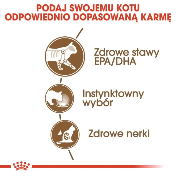 Karma mokra Royal Canin Ageing +12 Sauce dla kotów powyżej 12. roku życia 12x85 g — widok 7