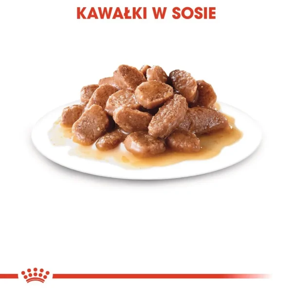Karma mokra Royal Canin Ageing +12 Sauce dla kotów powyżej 12. roku życia 12x85 g — widok 8