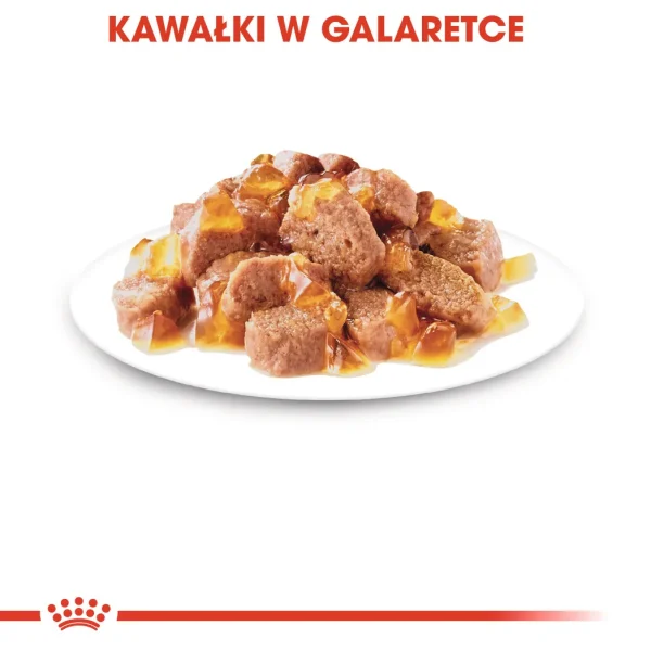 Karma mokra Royal Canin Sterilised W Galaretce dla kotów po sterylizacji 12x85 g — widok 6